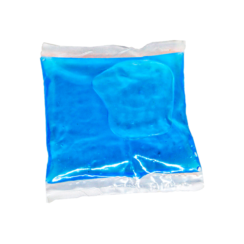 Ice Brick 250 ML 100 Piezas