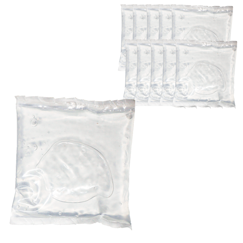 Ice Brick 250 ML 100 Piezas