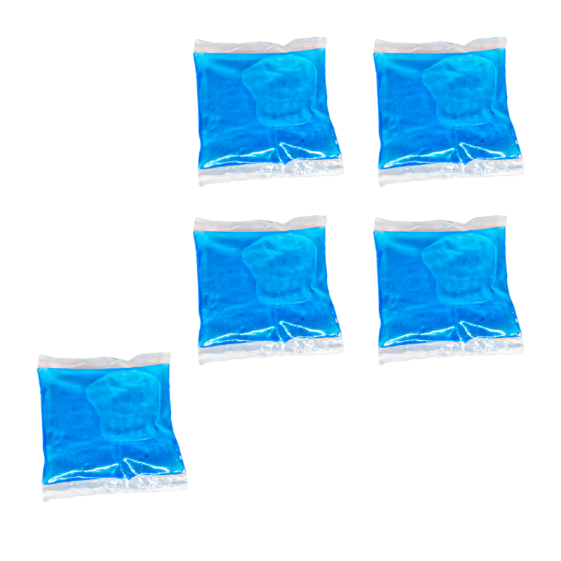 Ice Brick 250 ML 100 Piezas