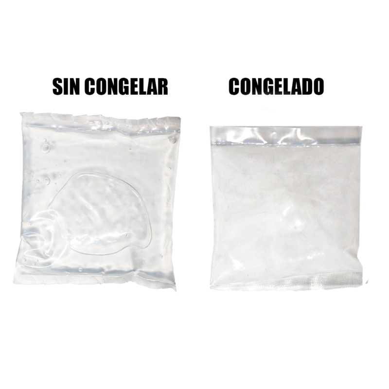 Ice Brick 250 ML 100 Piezas