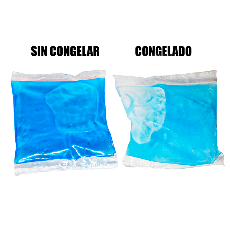 Ice Brick 250 ML 100 Piezas