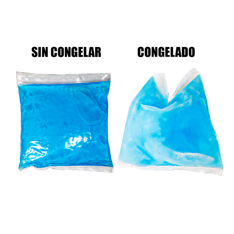 Ice Brick 500ml Bolsa 15×17 Cm Paquete 100 pzs