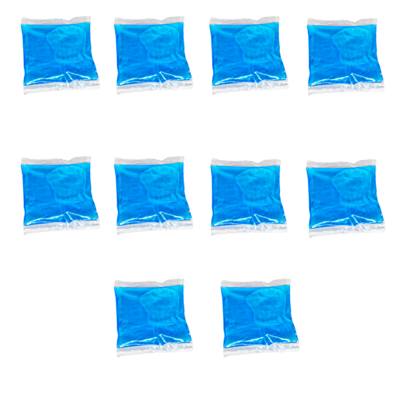 Ice Brick 250 ML 100 Piezas