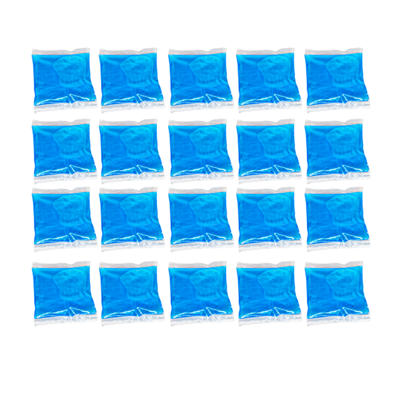 Ice Brick 250 ML 100 Piezas